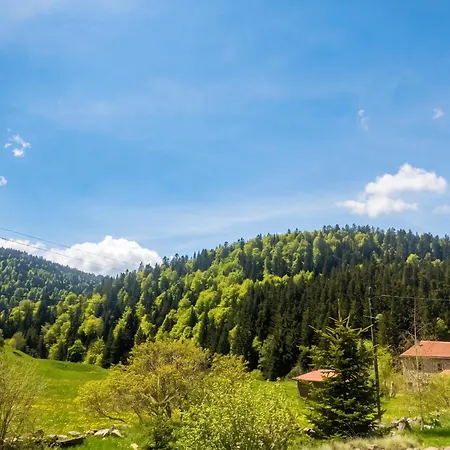 Tatil Evi Maison Confortable Avec Jardin A Borne 80 M² Boree